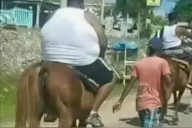 搞笑趣图—这就是传说中的野王？猴哥：不要怂！一起上图片