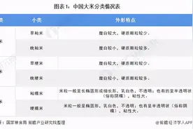 预见2021：《2021年中国大米行业全景图谱》大米加工智能化发展图片