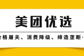 美团优选的“七宗罪”图片
