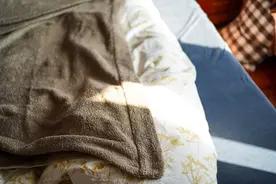 一夜之间全家电暖器退役了？聊聊网易严选95%鹅绒被到底有多暖图片