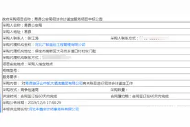 继野三坡之后，保定狼牙山景区运营方也进入破产重整图片