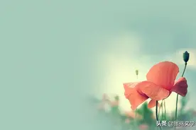 不知不觉，就喜欢上了你图片