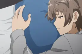 《青春猪头少年不会梦到兔女郎学姐》你我都曾是青春期症候群患者图片