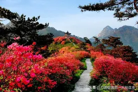 湖北麻城十大网红旅游景点美景介绍图片