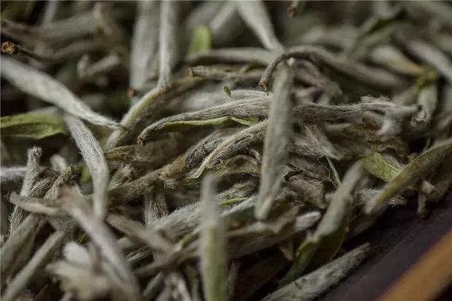 茶叶上的那些“毛毛”，究竟是怎么一回事？