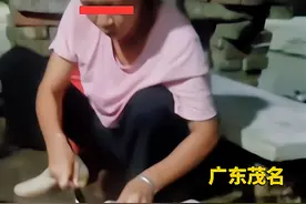 广东：男子喜欢钓鱼，天天都满载而归，母亲杀鱼杀到怀疑人生图片