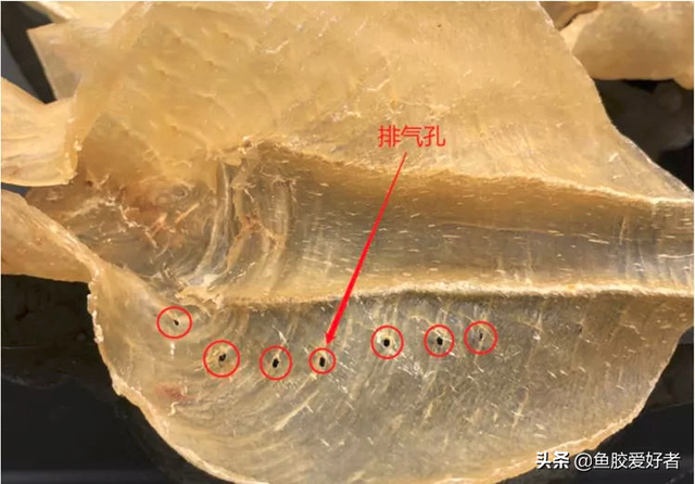 黄花胶与白花胶哪种好 2026年黄花胶与白花胶哪种好一点