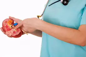 肾结石不痛不处理，当心直接影响肾功能图片