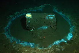 曾救了2500万人的农药DDT，在加州海底发现2.7万桶，却引发了恐慌图片