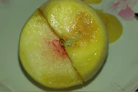 水果表面没有虫眼，为何里面会生虫？吃进肚子里的虫卵会寄生吗？图片
