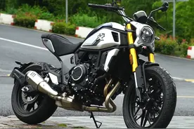 2020值得关注的国产大排全在这了图片