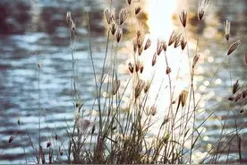 精神病人的世界图片