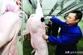 猪肉上红、蓝色印章有什么区别？三角形章和长方形章代表啥？图片