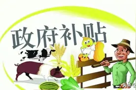 2021农业户口可以领取5种补贴，看看都有哪些？有的可拿5000元图片