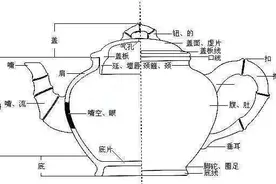 紫砂壶结构图文详解，带你三分钟看懂紫砂壶图片