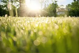 我整理了一份高考乙卷各省分数线表，被这个省的考生惊到了图片