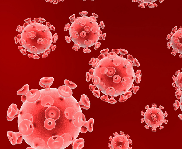 高中生物学习经验分享