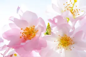 十二星座男生的宠女友排行榜，巨蟹善于呵护，摩羯座爱在点滴图片