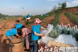 资中万亩二荆条“火辣”上市图片
