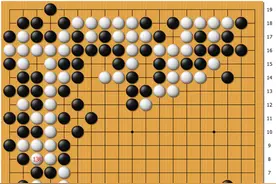 动图棋谱-黑嘉嘉生死劫硬杀男棋手 百手后玉碎图片