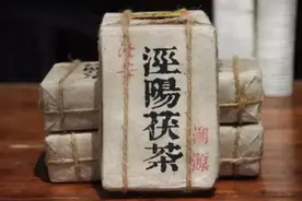 吕雯：六茶共舞破解泾阳茯茶产业发展难题图片