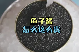 鱼子酱到底是什么？为什么鱼子酱卖的那么贵？视频封面