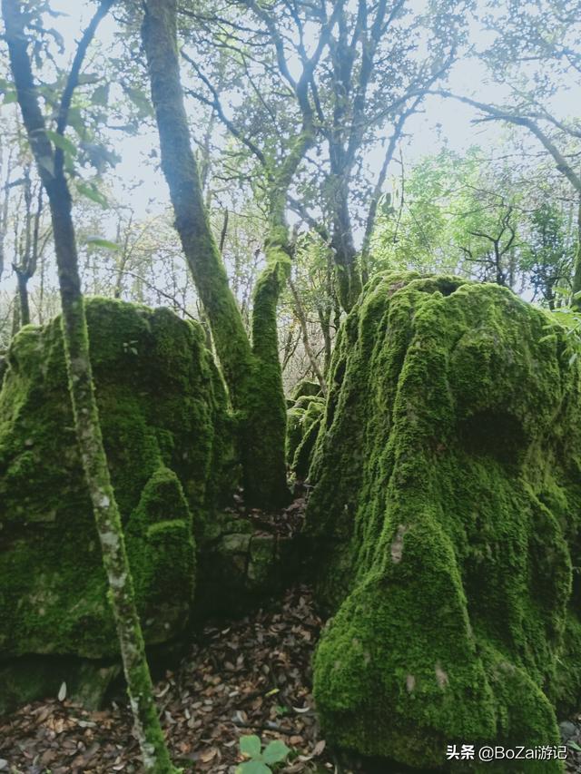 到云南曲靖旅游必去的17大景点，你去游玩过几个？最爱哪个景点