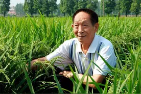 袁隆平的驾照有何特殊？全国仅有一份，不是没有要求图片