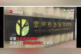 11岁哥哥牵9岁妹妹跳楼：所有的父母都欠孩子一场“死亡教育”图片