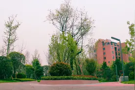 西安航天基地：“见缝插绿”拓展城市生态空间 “口袋公园”成市民休闲好去处图片