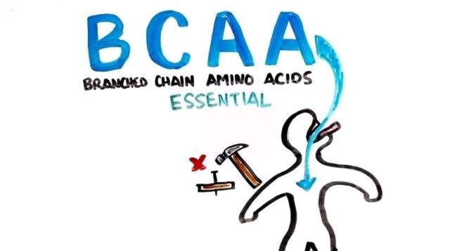 BCAA是什么？该如何补充？