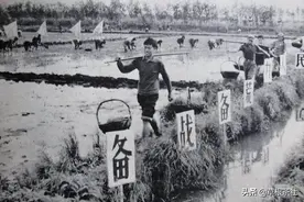 知青往事：至今难忘在湖北插队的日子图片