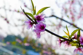 2021年河北地质大学 各省高考录取分数线图片