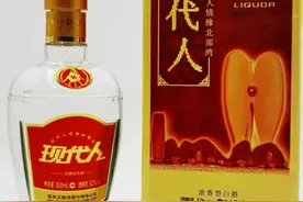 2013年五粮液现代人图片