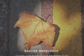 扑面的热情，只不过是一时兴起而已图片