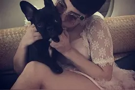 Lady Gaga 和她的狗狗Asia图片