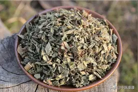 仙鹤草&鸡冠花，有哪些异同？图片