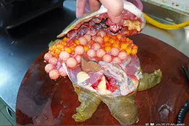 吃甲鱼还真是有门道啊图片