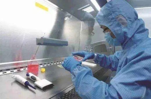 打了狂犬疫苗可以喝花胶汤吗 2026年打狂犬疫苗可以吃花胶炖鸡汤吗?