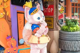 没作品却出道即顶流：这只小狐狸为何这么红？图片