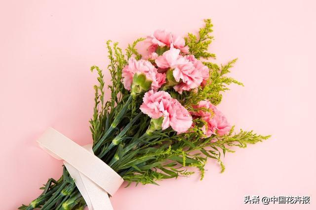 除了康乃馨，母亲节送给妈妈的花还有很多，这篇文章告诉你！