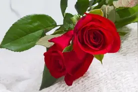 真正厉害的女人，往往“深藏不露”图片