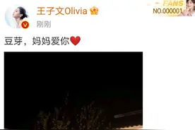 “曲妖精”王子文，未婚生子的背后，还有不为人知的情感大戏图片