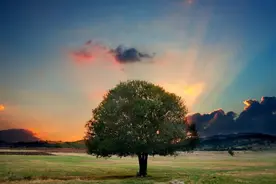 宾果公寓业委会会议纪要图片