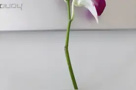 认识世界——中国图片