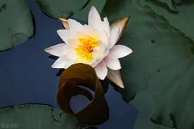 我心中唯一深爱着的人，有一种真爱，即便不见，也会思念一生图片