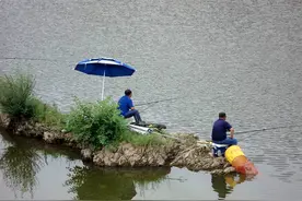 野钓没口别再怀疑饵料，多半是这三种原因，看完顿时恍然大悟图片