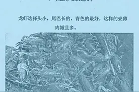 开店专用麻辣小龙虾全套技术配方，河北地区保证最好吃图片