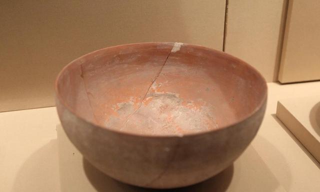 古代鹿角化石价格