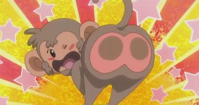 体型像熊的猴子-熊猴,国家一级保护动物(熊猴子是什么) - 冷求网